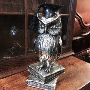 owl-2