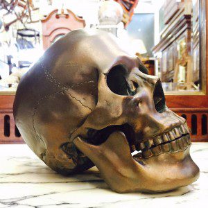 Skull Bronze