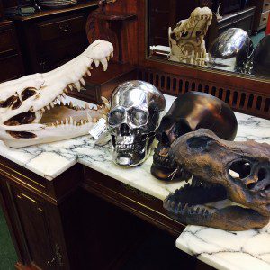 Skull collective