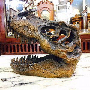 Sm dino head